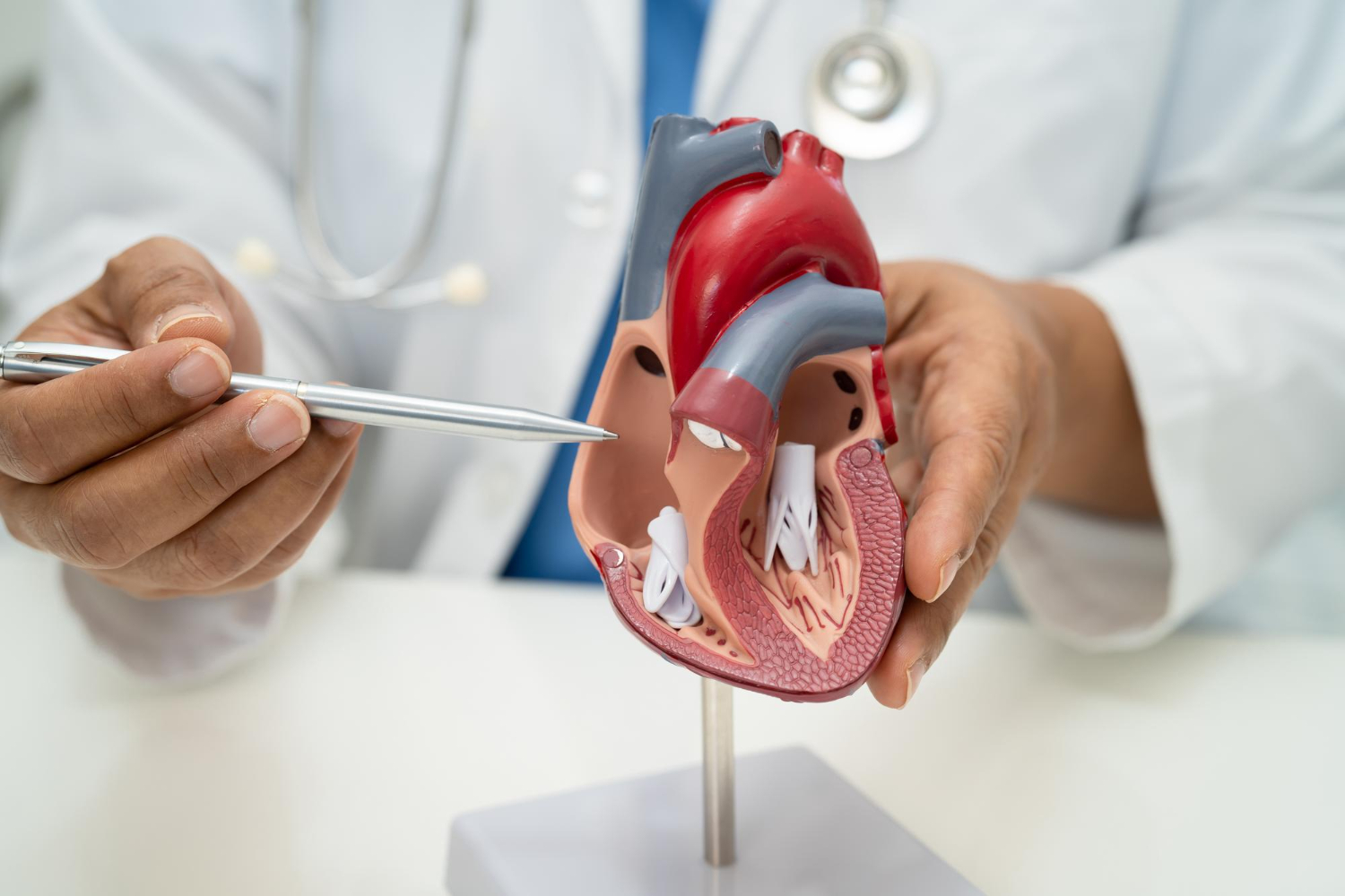Read more about the article Can a Mild Leaking Heart Valve Affect Your Heart Even If You Feel Completely Well?