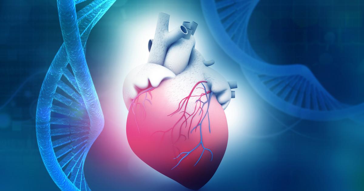 Read more about the article Singapore Researchers Invent New AI tool that could Speed Up Diagnosis of Heart Disease